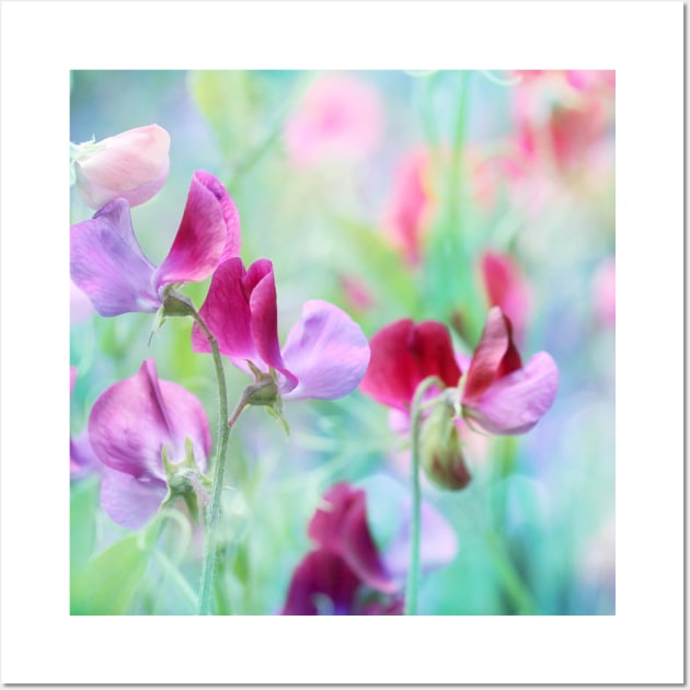 Sweet Pea Wall Art by SharonJ